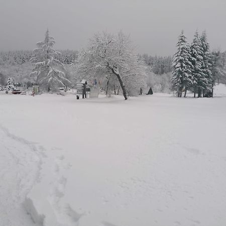 Ferienwohnung Mia Winterberg Kamer foto