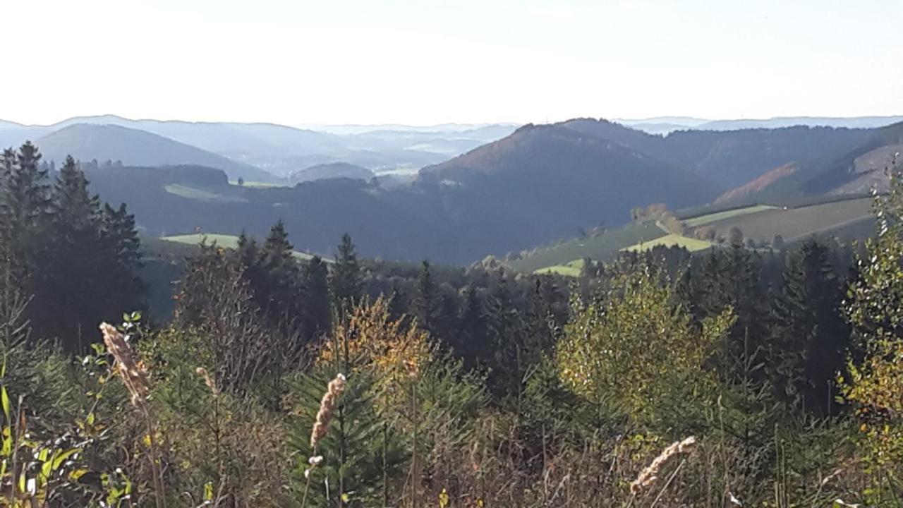 Ferienwohnung Mia Winterberg Buitenkant foto