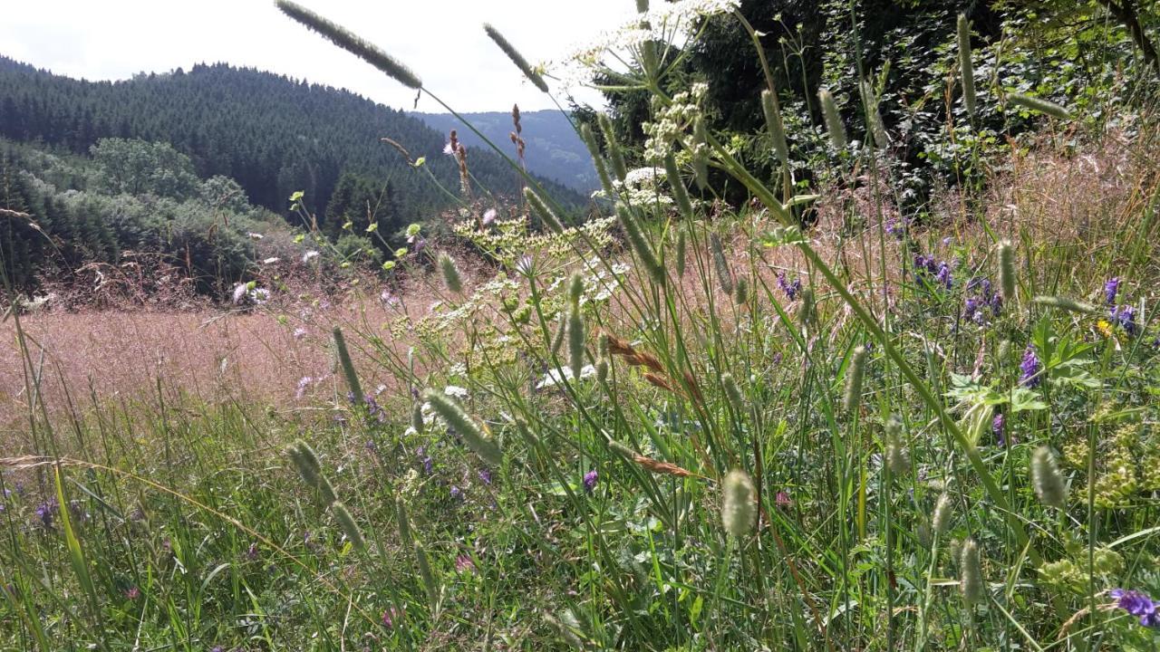 Ferienwohnung Mia Winterberg Buitenkant foto