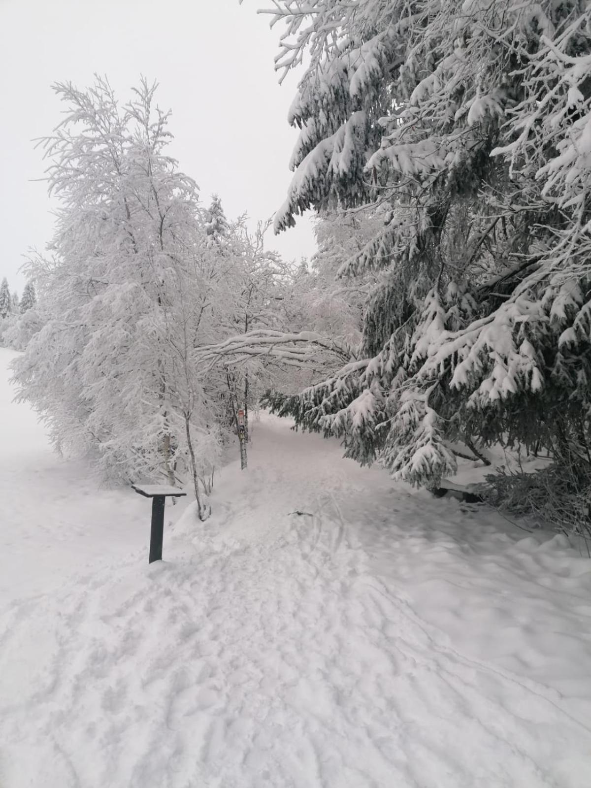 Ferienwohnung Mia Winterberg Kamer foto